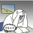 해당화 | 대구 달성공원 서부해당화 개화 상황 실시간 방문 후기