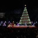 대신카프라자 이미지