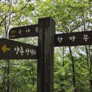 금남2리 Daum카페