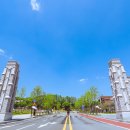 고려대학교(세종) 이미지