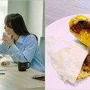 베어플렌트 이미지