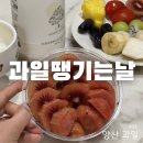 양산 과일 과일땡기는날 레드키위 컵과일 과일도시락