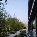 챠밍애견 | 강릉 툇마루 카페 애견동반 주차장 웨이팅 솔직후기