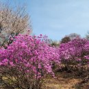 미꼬담 부천까치울점 이미지
