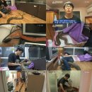 조인호 농장 뉴스엔