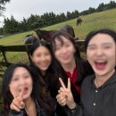 은형목장 네이버블로그