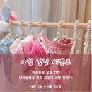 올펫 이미지