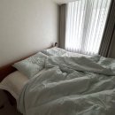 우리사 | 🛏️ 40만원대 가성비 원목 침대프레임 추천 | 오늘의집 아워매뉴얼 킹사이즈 내돈내산 한달후기