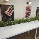 상아콘티넨탈 이미지