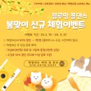 블루밍폴스튜디오 이미지