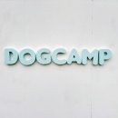 도그캠프 이미지