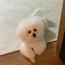 닥터정 동물병원 이미지