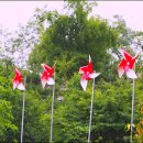 전곡선사박물관 이미지