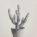 잘그림