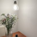 스테이숑 이미지