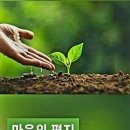 성수 이미지