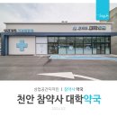 천안대학약국 네이버블로그