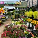 조은정원농장 이미지