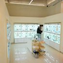 퍼피애견샵 이미지