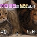 포항이동안마원 이미지