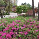 차리인동네 이미지