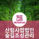 숲길법인 이미지