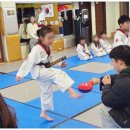 사랑 태권도 이미지