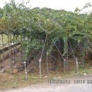 느티하우스 이미지