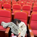 버블버블쇼 | 부산 버블버블쇼 기장군청 아이랑 관람후기+근처 놀이터