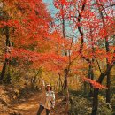 수리산도립공원 탐방안내소 | 경기도 가을 단풍명소 가볼만한곳 수리산 초보자 등산코스 추천