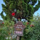 운조루 막둥이집 이미지