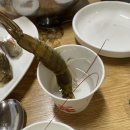 활어마당 이미지