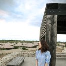 책 속의 여행 이미지