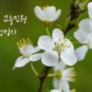 J0203 이미지