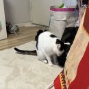 멜린다’s키친(하남) | 호주 유학생 일상ㅣ이번 학기 첫 시험 끝낸 일상