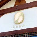 카페달곰 티스토리
