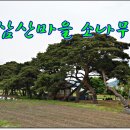 운봉읍 삼산마을 이미지