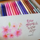 플러스펜일러스트 이미지