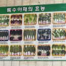 수리산돌솥쌈밥 이미지