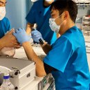 에이치동물메디컬센터 이미지