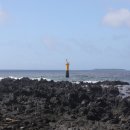 위미그라스 이미지