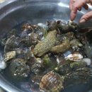 대명민박 이미지