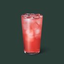 스타벅스동해ICDT점 이미지