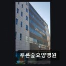 푸른숲요양병원 네이버블로그