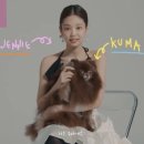 제나헤어 이미지