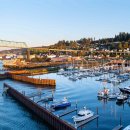 so tree farm 이미지