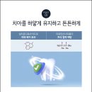 바닐라민트네일 | 바닐라 민트향에 스며들다.. 자극 없이 하얘지는 인생 치약 AP24 솔직 리뷰✨🌿