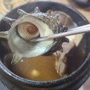 협재재암식당 | 제주도 협재해수욕장 가정식 재암식당 내돈내산 솔직후기