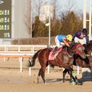 청룡목장 이미지