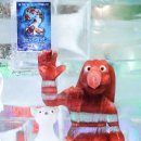 아이스뮤지엄 이미지